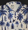 Blue Palms Folded
