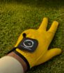 Picture of Frenzy Glove Yellow